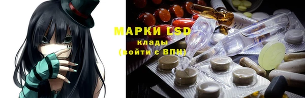 ПСИЛОЦИБИНОВЫЕ ГРИБЫ Алексин