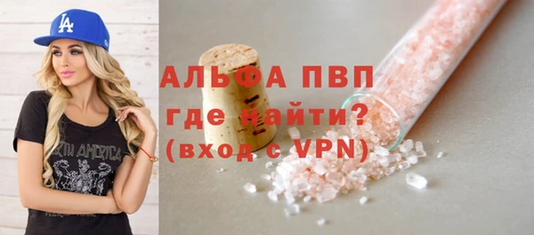 гидра Инсар