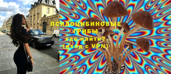 ПСИЛОЦИБИНОВЫЕ ГРИБЫ Алексин