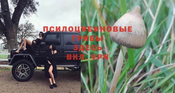 ПСИЛОЦИБИНОВЫЕ ГРИБЫ Алексин
