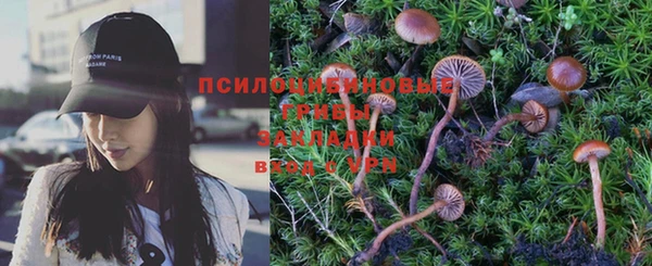 ПСИЛОЦИБИНОВЫЕ ГРИБЫ Алексин