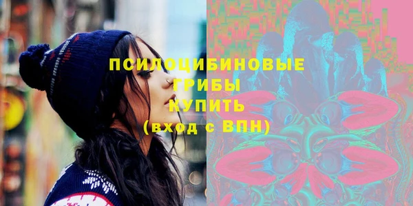 ECSTASY Алзамай